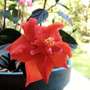 Meet your Posher, Andrea